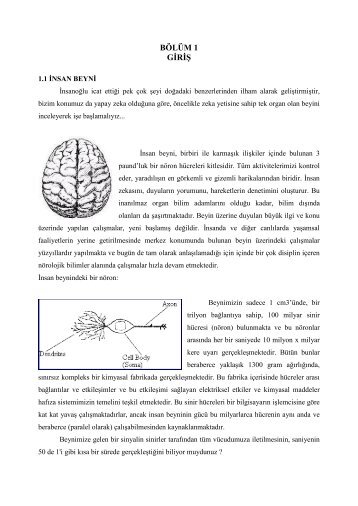 Ä°NSAN BEYNÄ° - Hasan HÃ¼seyin BALIK