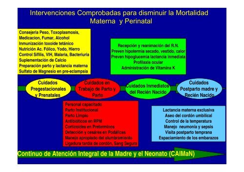 Avances y desafÃ­os en la disminuciÃ³n de la mortalidad materna y ...