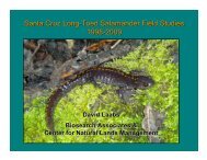 Santa Cruz Long-Toed Salamander Field Studies 1998-2009