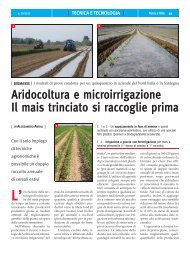 Aridocoltura e microirrigazione Il mais trinciato si raccoglie prima