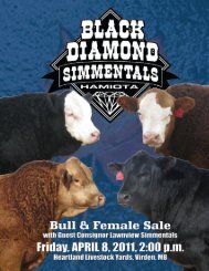 Black Diamond Simmentals Bull & Female Sale - Transcon ...