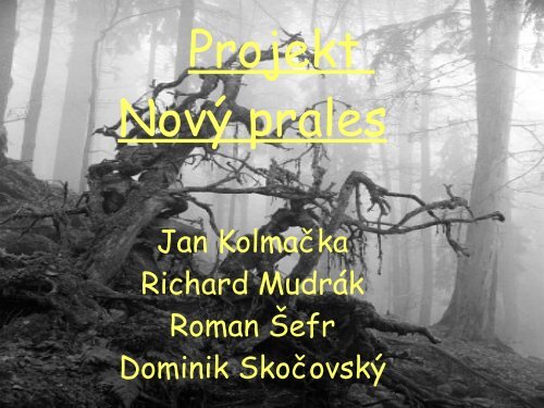 Žofínský prales