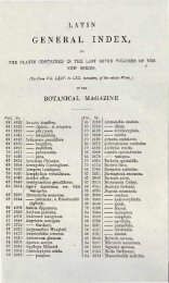 Curtis's botanical magazine.