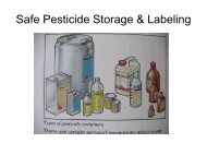 Safe Pesticide Storage & Labeling