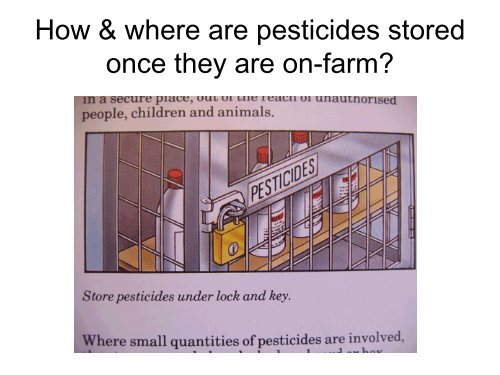 Safe Pesticide Storage & Labeling