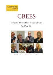 CBEES fiscal year 2011 (English version).pdf - SÃ¶dertÃ¶rns hÃ¶gskola