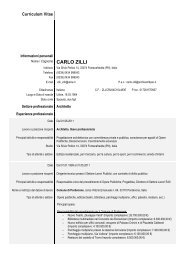 CV arch. Carlo Zilli