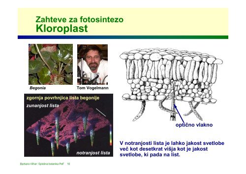 celostransko