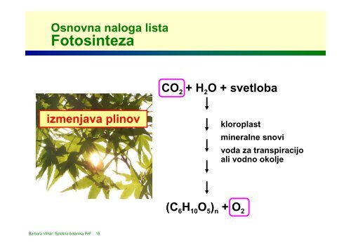 celostransko