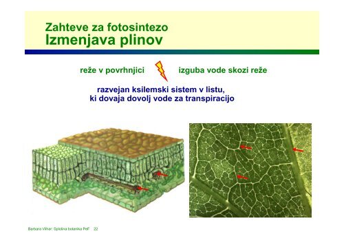 celostransko
