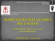 Agopuntura nella clinica del cavallo - SIAV