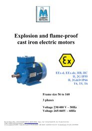 Explosion and flame-proof cast iron electric motors - LAMBERT ...