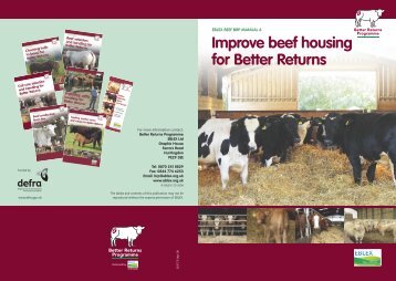 Improve beef housing for Better Returns - Eblex