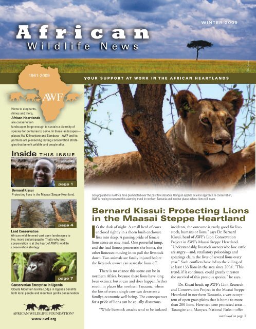 Bernard Kissui: Protecting Lions in the Maasai ... - African Wildlife