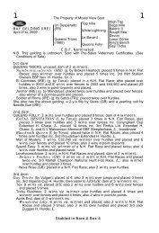 The Property of Moate View Stud Top Ville High Top Sega ... - Goffs