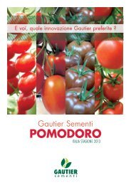 POMODORO - FreshPlaza