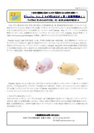 『ZhuZhu Pets TM』 トイザらスにて 4 月 3 日販売開始！！