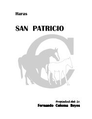 haras san patricio.pdf - criadores.cl