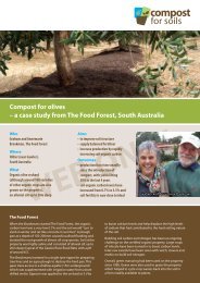 Food Forest - olives - Compost for Soils