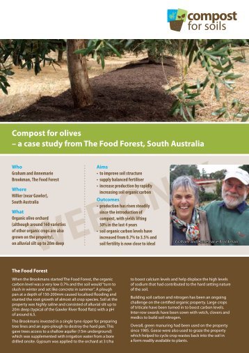 Food Forest - olives - Compost for Soils