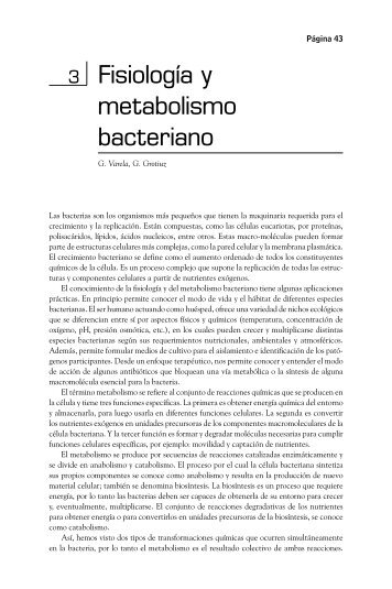 Fisiología y metabolismo bacteriano