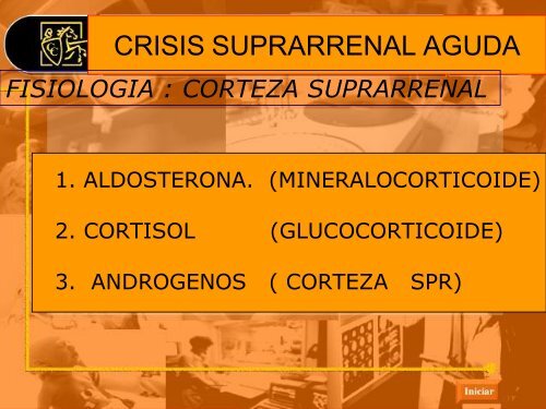 CRISIS SUPRARRENAL AGUDA - Reeme.arizona.edu