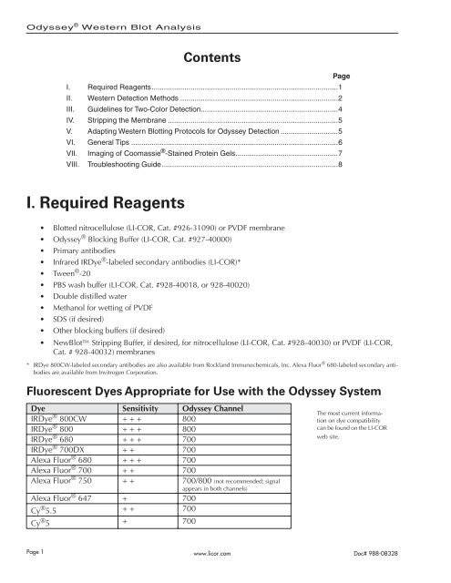 Western Blot Analysis on the Odyssey Infrared Imaging System