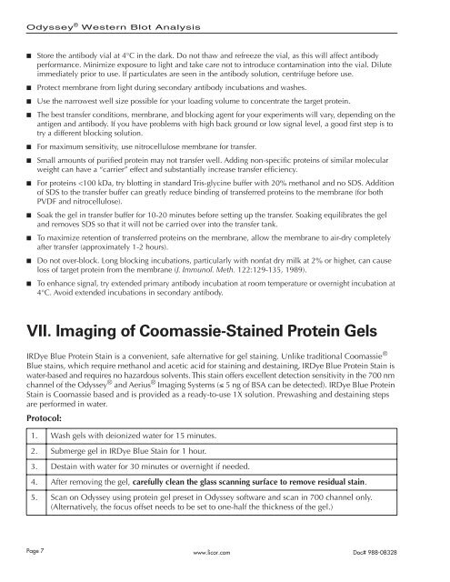 Western Blot Analysis on the Odyssey Infrared Imaging System