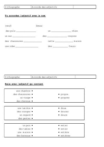 Orthographe Accords des adjectifs Tu accordes l'adjectif avec le ...
