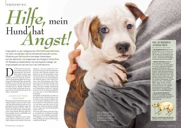 DIE ÄUSSEREN ANZEICHEN - Partner Hund