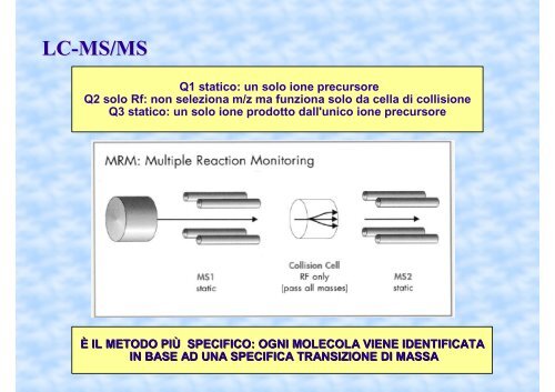 Principio di funzionamento dei test cromatografici di ... - Ce.Do.S.T.Ar.