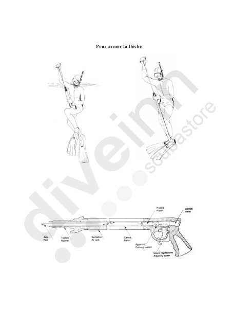 FUSILS PNEUMATIQUES ASSO - Scubastore