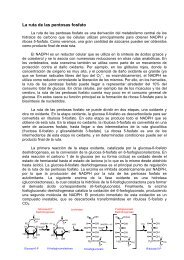 La ruta de las pentosas fosfato - Materias.unq.edu.ar