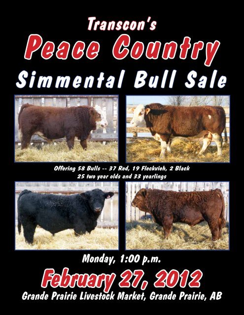 Moose Creek Simmentals - Transcon Livestock Corporation