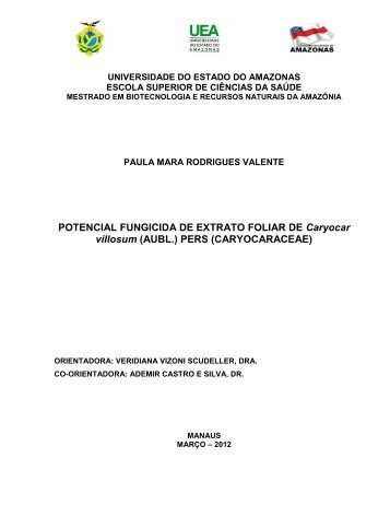 Paula Mara Rodrigues Valente - uea - pós graduação