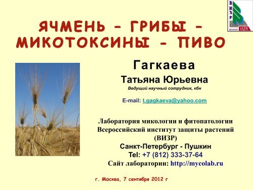 Гагкаева Татьяна - Ячмень, грибы, микотоксины, пиво