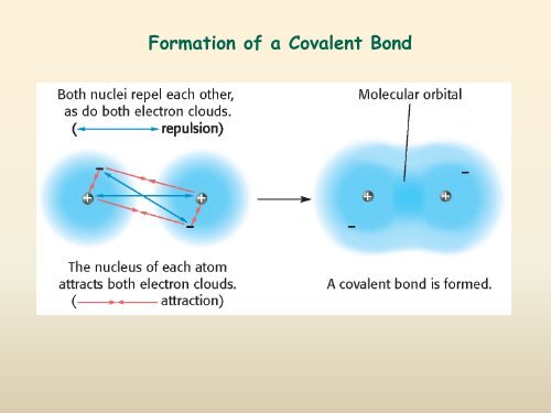 Covalent Bonding