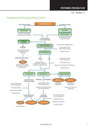 Proteomics Process Flow Chart