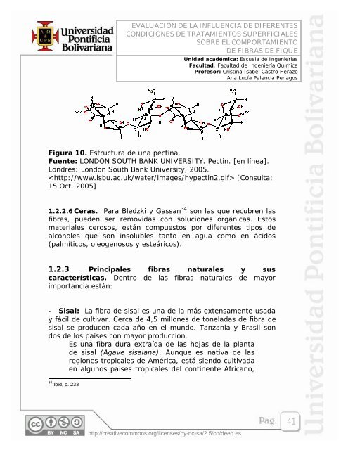 EVALUACIÃN DE LA INFLUENCIA DE DIFERENTES ... - EAV