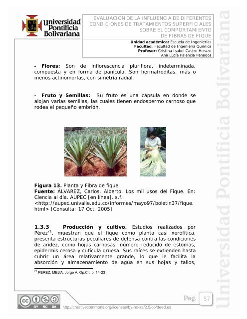 EVALUACIÃN DE LA INFLUENCIA DE DIFERENTES ... - EAV