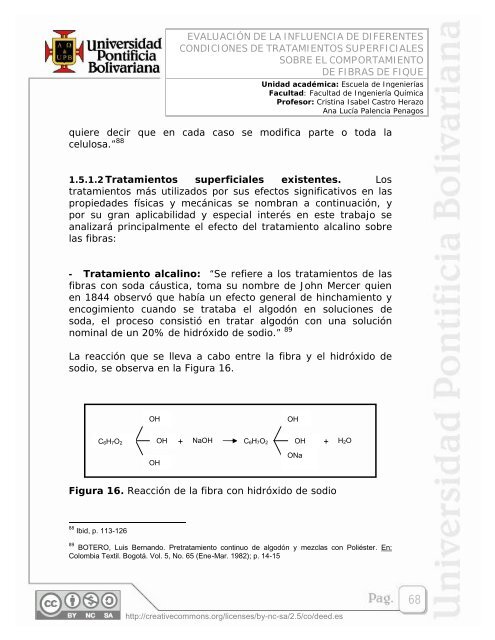 EVALUACIÃN DE LA INFLUENCIA DE DIFERENTES ... - EAV