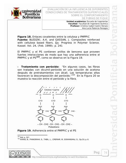 EVALUACIÃN DE LA INFLUENCIA DE DIFERENTES ... - EAV