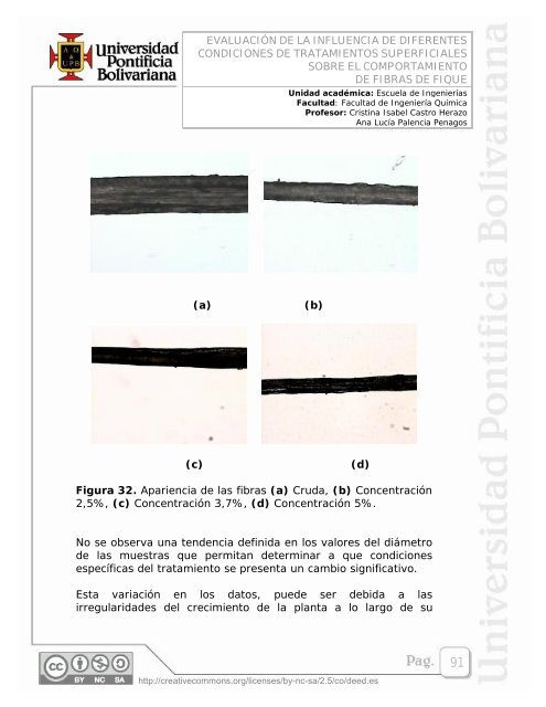 EVALUACIÃN DE LA INFLUENCIA DE DIFERENTES ... - EAV