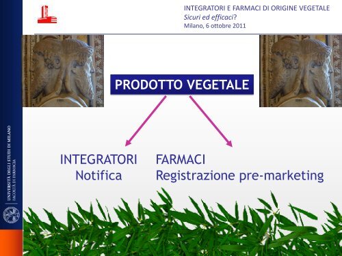 farmaci di origine vegetale - Istituto di Ricerche Farmacologiche ...