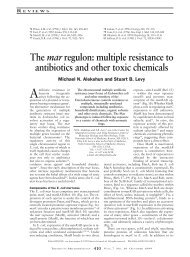 The mar regulon: multiple resistance to antibiotics and other toxic ...