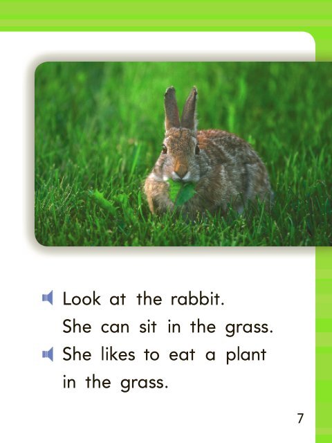 Lesson 24:What Animals Eat