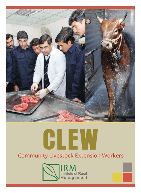 Community Livestock Extension Workers - IRM