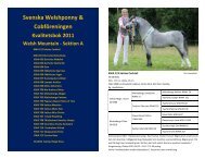 2011 - Svenska Welshponny & CobfÃ¶reningen