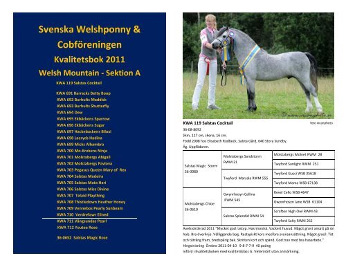 2011 - Svenska Welshponny & CobfÃ¶reningen