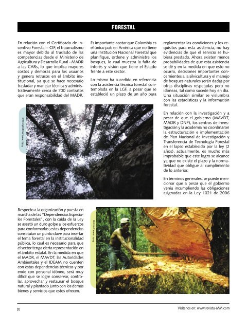 ley forestal.indd - Revista El Mueble y La Madera